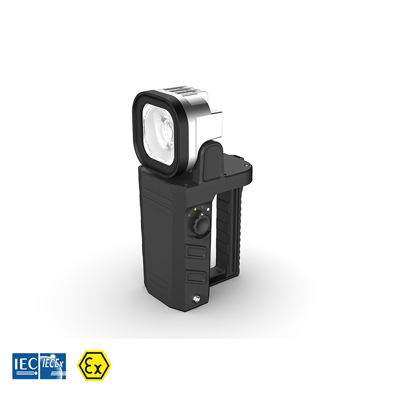 EX-rated hand-held lamp with swivel head