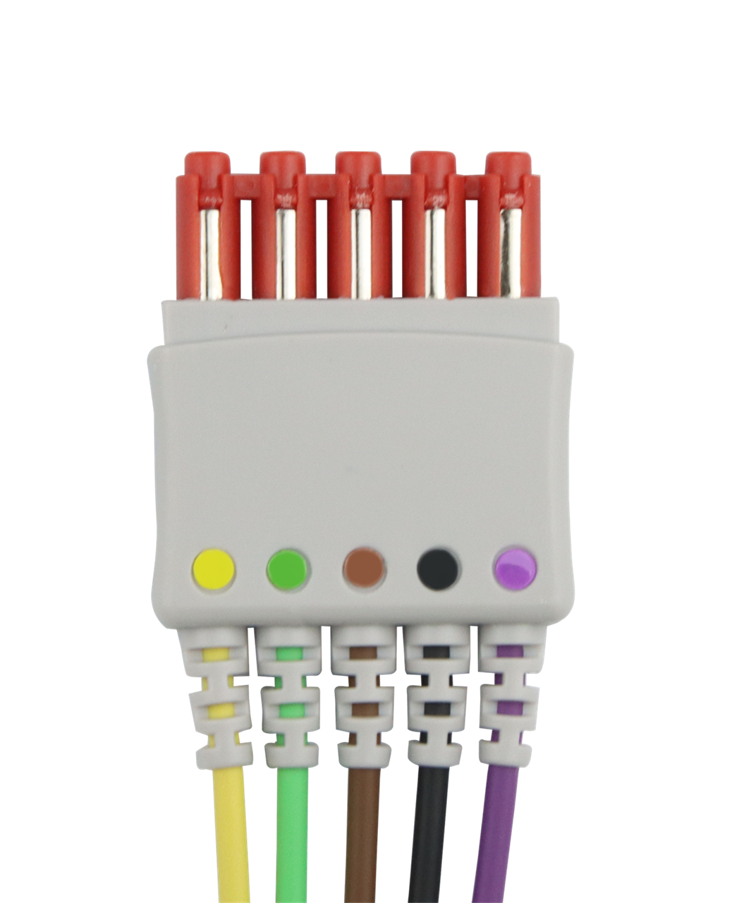 2x 5 lead ECG sensors, like M1978A, in detail 2x 5 lead ECG sensors, like M1978A, in detail